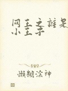 网王之谁是我的小王子