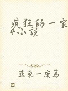 疯狂的一家ps4小说