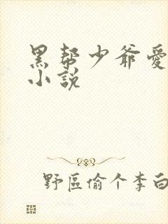 黑帮少爷爱上我小说