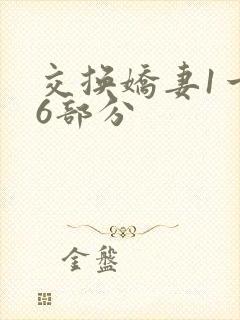交换娇妻1一36部分