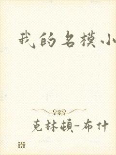 我的名模小娇妻