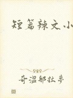 短篇辣文小说