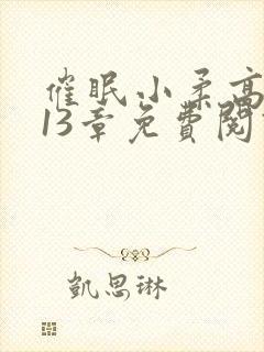 催眠小柔高达第13章免费阅读