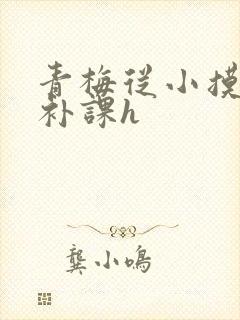 青梅从小摸到大补课h