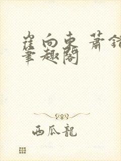 崔向东 萧错 笔趣阁