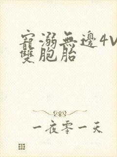 宠溺无边4V2双胞胎