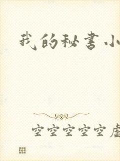 我的秘书小姐