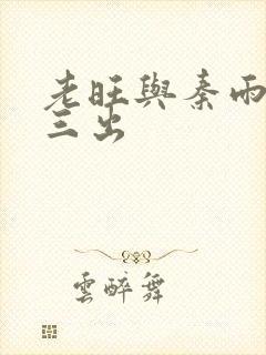 老旺与秦雨三进三出