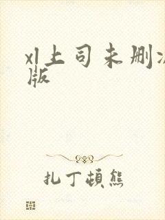 xl上司未删减版