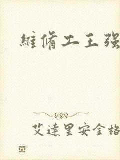 维修工王强张婷