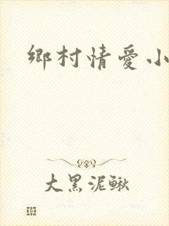 乡村情爱小说