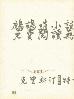 鹧鸪哨小说网站免费阅读无弹窗