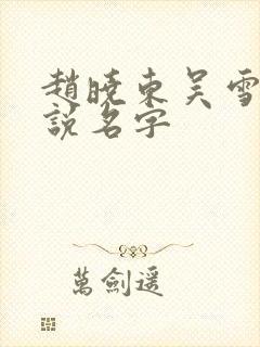 赵晓东吴雪晴小说名字