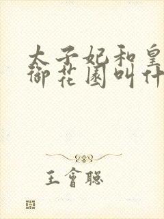 太子妃和皇帝在御花园叫什么小说