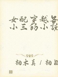 女配穿越各个做小三的小说