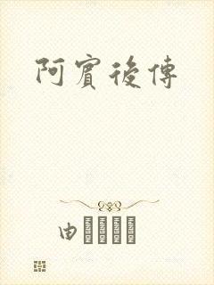 阿宾后传