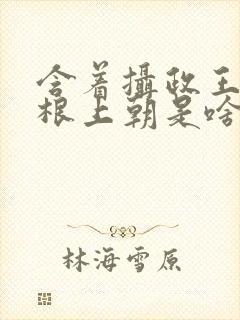 含着摄政王的紫根上朝是啥小说