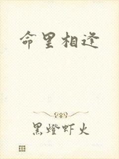 命里相逢
