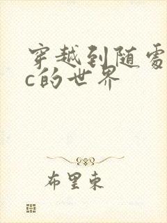 穿越到随处可以c的世界