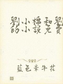 刘小棉和刘易文的小说免费阅读