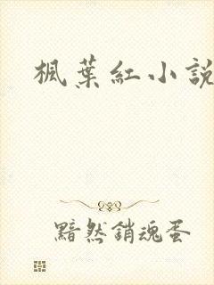 枫叶红小说