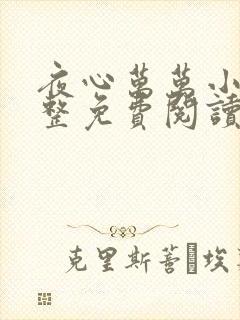 夜心万万小说完整免费阅读全文