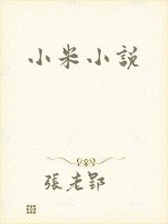 小米小说