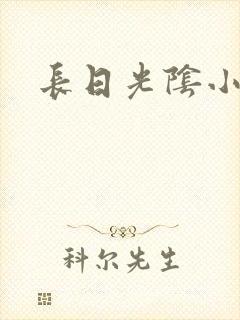 长日光阴小说