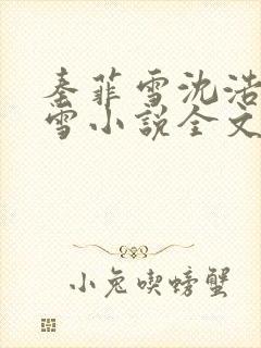 秦菲雪沈浩秦菲雪小说全文免费阅读求书