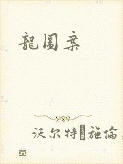 龙图案