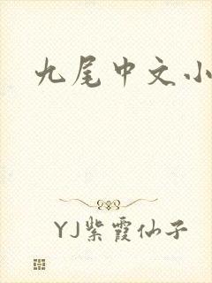 九尾中文小说网