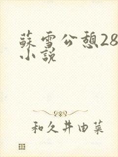 苏雪公憩28篇小说