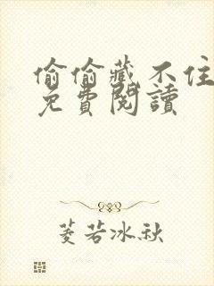 偷偷藏不住小说免费阅读