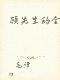 顾先生的金丝雀