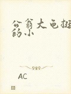 公翁大龟挺进我的小