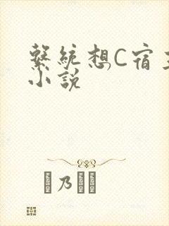 系统想C宿主的小说