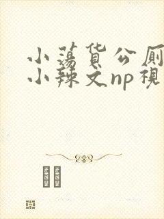 小荡货公厕h文小辣文np视频