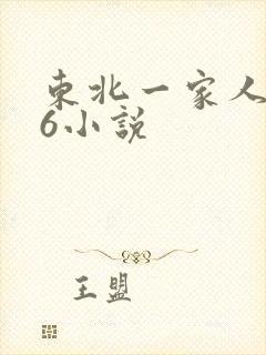 东北一家人1一6小说