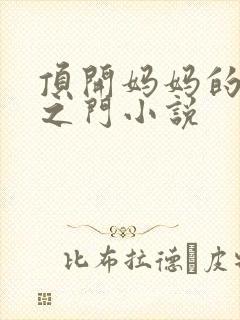 顶开妈妈的生命之门小说