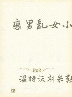 恋男乱女小说