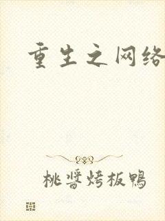 重生之网络大亨