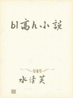 bl高h小说