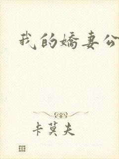 我的娇妻公务员