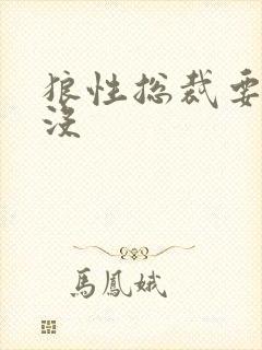 狼性总裁要够了没