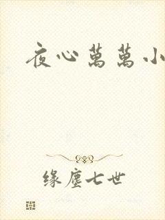 夜心万万小说
