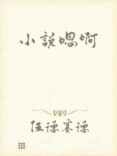 小说嗯啊