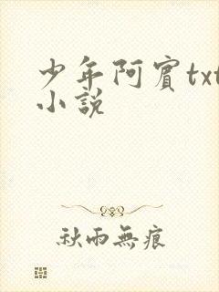 少年阿宾txt小说