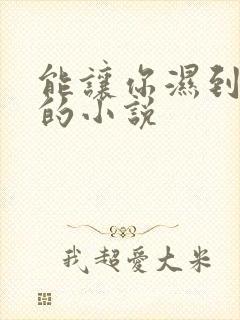 能让你湿到不行的小说