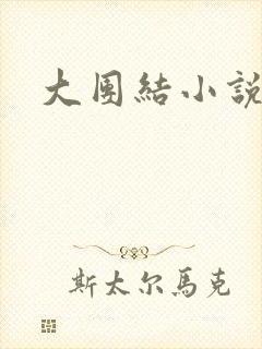 大团结小说阅读