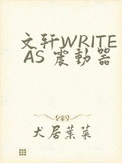 文轩WRITE AS 震动器